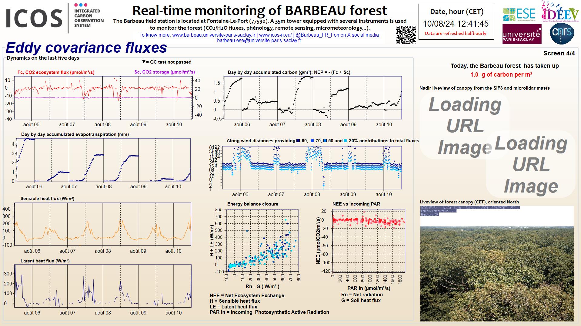 Eddy covariance data